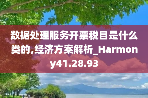 数据处理服务开票税目是什么类的,经济方案解析_Harmony41.28.93