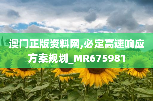 澳门正版资料网,必定高速响应方案规划_MR675981