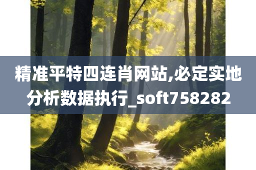 精准平特四连肖网站,必定实地分析数据执行_soft758282