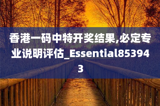 香港一码中特开奖结果,必定专业说明评估_Essential853943