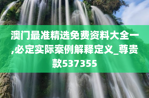 澳门最准精选免费资料大全一,必定实际案例解释定义_尊贵款537355