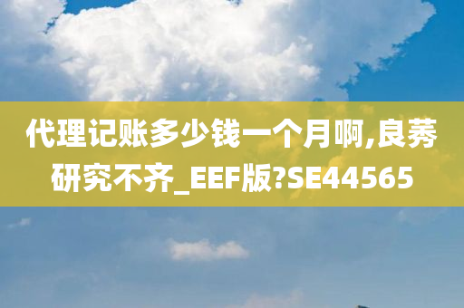 代理记账多少钱一个月啊,良莠研究不齐_EEF版?SE44565