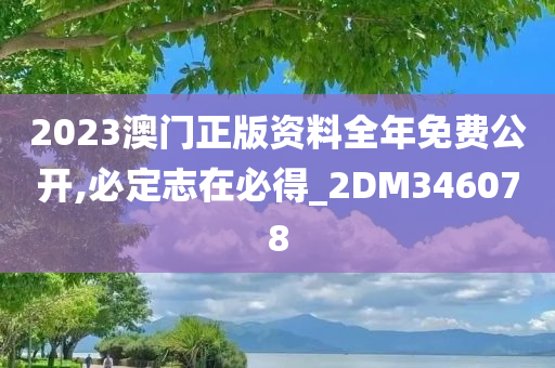 2023澳门正版资料全年免费公开,必定志在必得_2DM346078