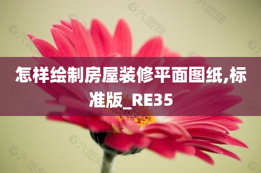 怎样绘制房屋装修平面图纸,标准版_RE35