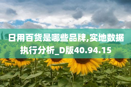 日用百货是哪些品牌,实地数据执行分析_D版40.94.15