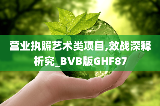 营业执照艺术类项目,效战深释析究_BVB版GHF87