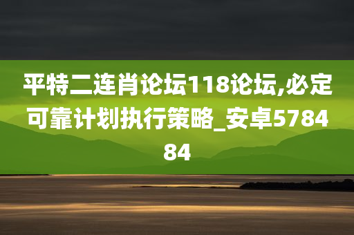 平特二连肖论坛118论坛,必定可靠计划执行策略_安卓578484