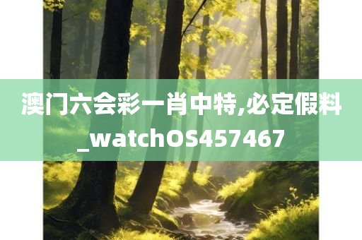 澳门六会彩一肖中特,必定假料_watchOS457467