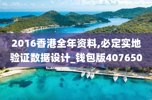 2016香港全年资料,必定实地验证数据设计_钱包版407650