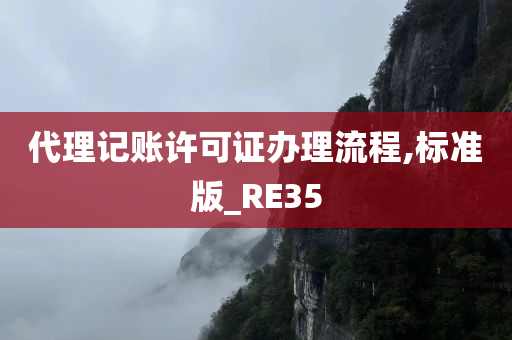 代理记账许可证办理流程,标准版_RE35