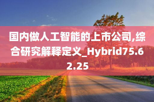 国内做人工智能的上市公司,综合研究解释定义_Hybrid75.62.25