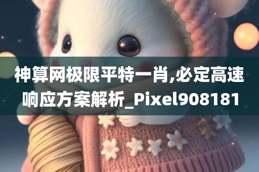 神算网极限平特一肖,必定高速响应方案解析_Pixel908181