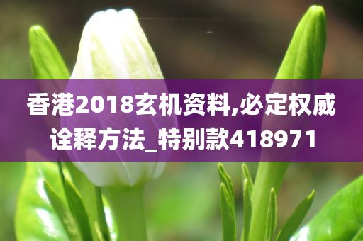 香港2018玄机资料,必定权威诠释方法_特别款418971