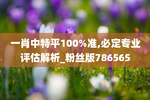 一肖中特平100%准,必定专业评估解析_粉丝版786565