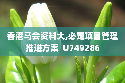 香港马会资料大,必定项目管理推进方案_U749286