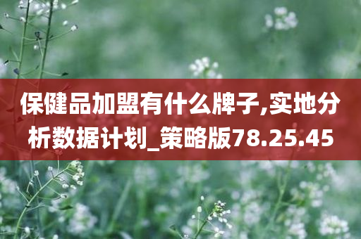 保健品加盟有什么牌子,实地分析数据计划_策略版78.25.45