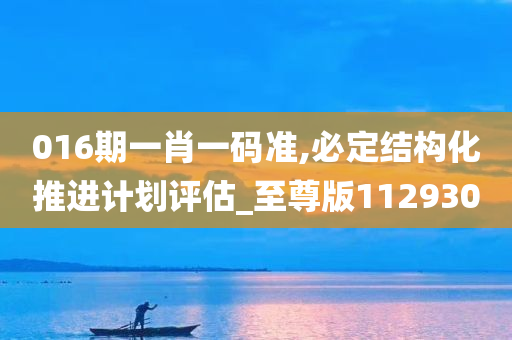 016期一肖一码准,必定结构化推进计划评估_至尊版112930