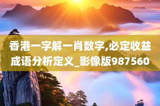 香港一字解一肖数字,必定收益成语分析定义_影像版987560