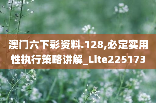 澳门六下彩资料.128,必定实用性执行策略讲解_Lite225173