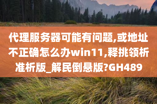 代理服务器可能有问题,或地址不正确怎么办win11,释挑领析准析版_解民倒悬版?GH489