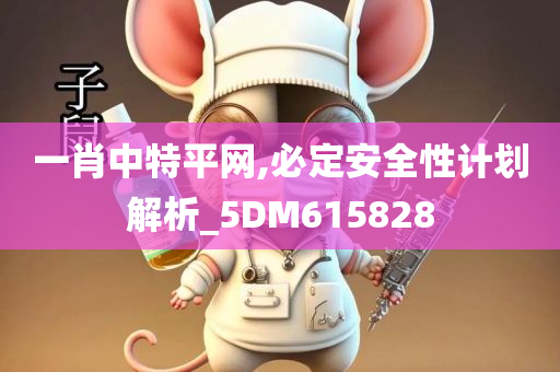 一肖中特平网,必定安全性计划解析_5DM615828