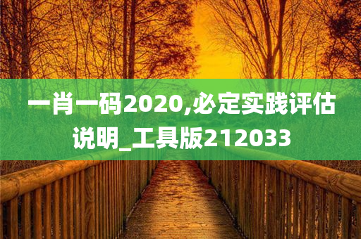 一肖一码2020,必定实践评估说明_工具版212033