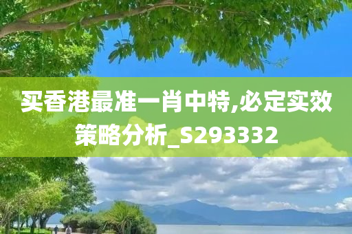 买香港最准一肖中特,必定实效策略分析_S293332