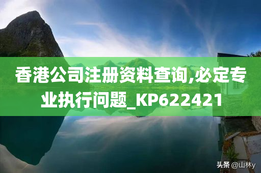 香港公司注册资料查询,必定专业执行问题_KP622421