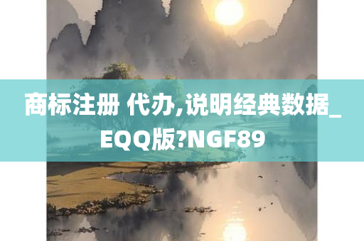 商标注册 代办,说明经典数据_EQQ版?NGF89