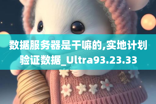 数据服务器是干嘛的,实地计划验证数据_Ultra93.23.33