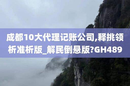 成都10大代理记账公司,释挑领析准析版_解民倒悬版?GH489