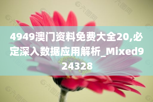 4949澳门资料免费大全20,必定深入数据应用解析_Mixed924328