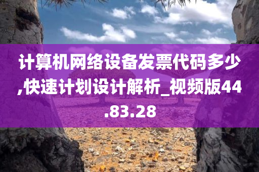 计算机网络设备发票代码多少,快速计划设计解析_视频版44.83.28