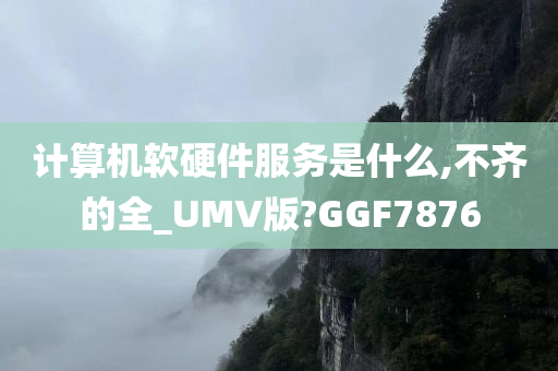 计算机软硬件服务是什么,不齐的全_UMV版?GGF7876