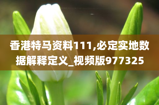 香港特马资料111,必定实地数据解释定义_视频版977325