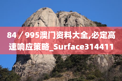 84／995澳门资料大全,必定高速响应策略_Surface314411