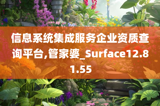 信息系统集成服务企业资质查询平台,管家婆_Surface12.81.55