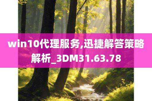 win10代理服务,迅捷解答策略解析_3DM31.63.78