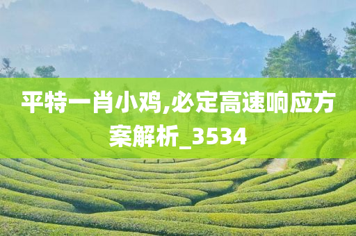 平特一肖小鸡,必定高速响应方案解析_3534