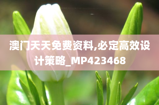 澳门天天免费资料,必定高效设计策略_MP423468