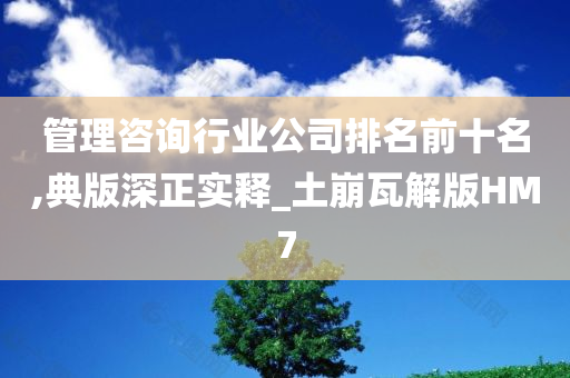 管理咨询行业公司排名前十名,典版深正实释_土崩瓦解版HM7