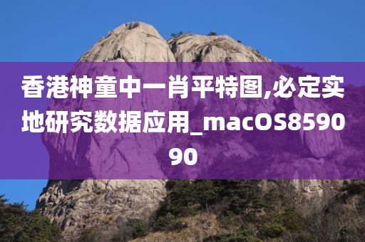 香港神童中一肖平特图,必定实地研究数据应用_macOS859090