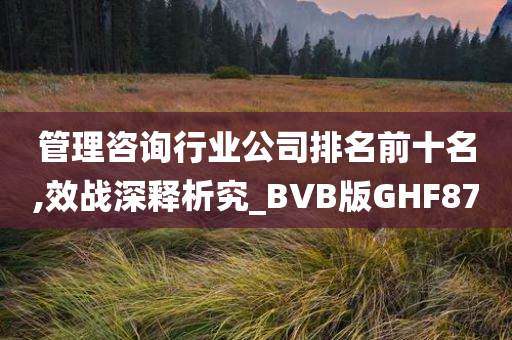 管理咨询行业公司排名前十名,效战深释析究_BVB版GHF87