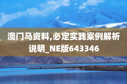 澳门马资料,必定实践案例解析说明_NE版643346