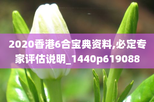 2020香港6合宝典资料,必定专家评估说明_1440p619088