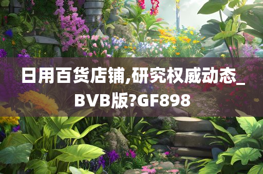 日用百货店铺,研究权威动态_BVB版?GF898