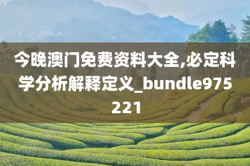 今晚澳门免费资料大全,必定科学分析解释定义_bundle975221