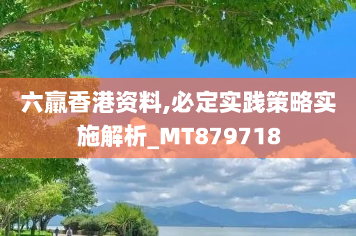 六羸香港资料,必定实践策略实施解析_MT879718