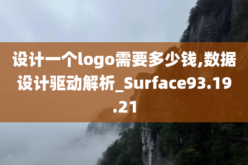 设计一个logo需要多少钱,数据设计驱动解析_Surface93.19.21