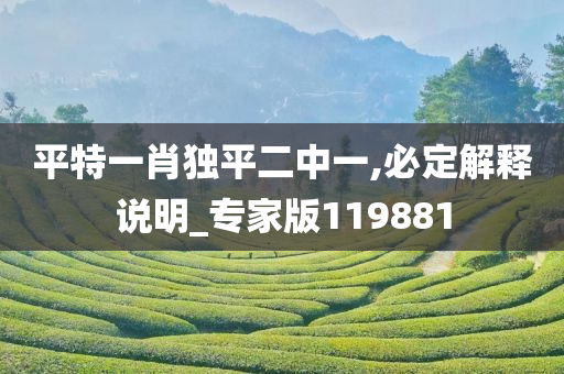 平特一肖独平二中一,必定解释说明_专家版119881